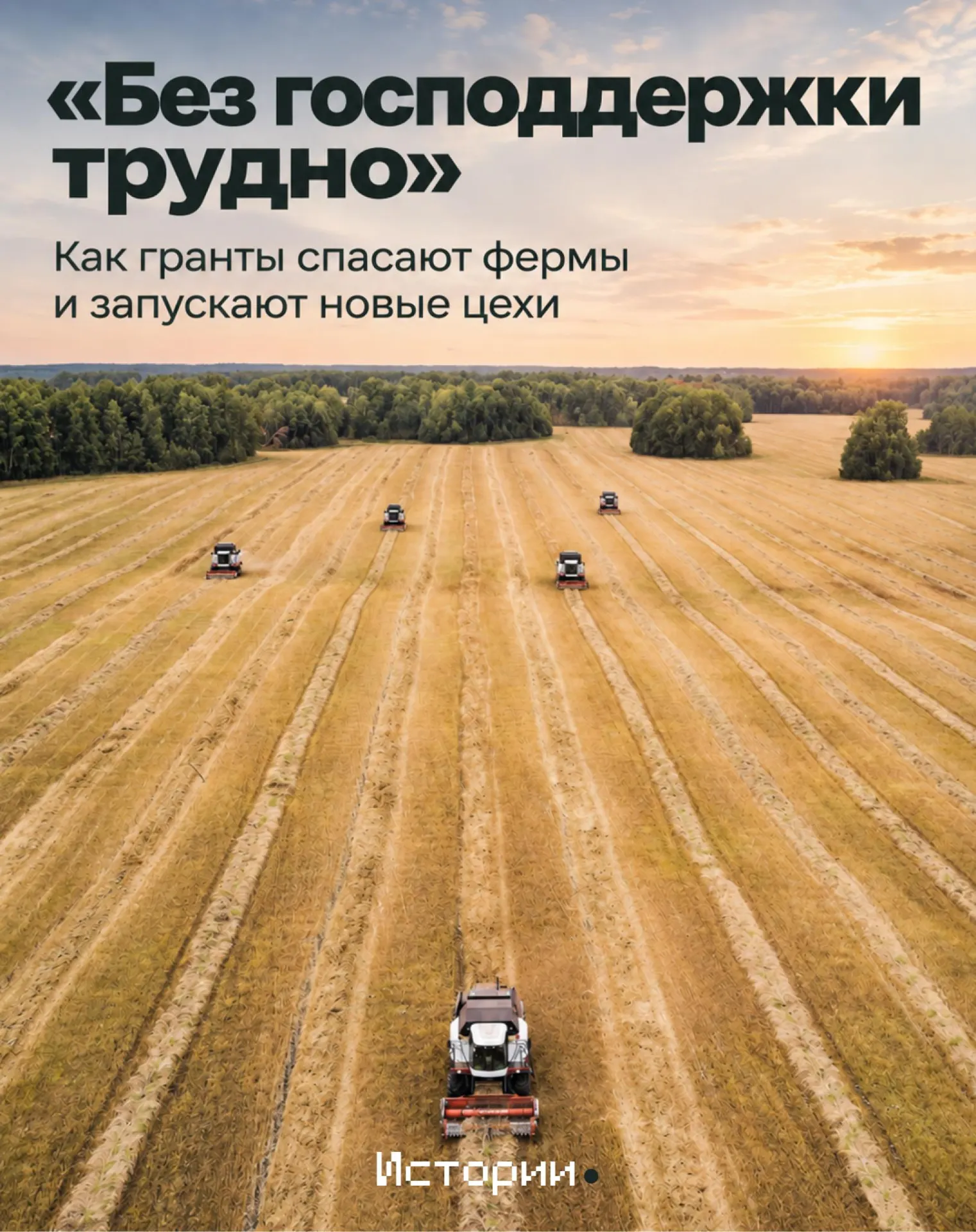 Разбор бюджета на поддержку сельского хозяйства, лидеров отрасли и текущих тенденций региона