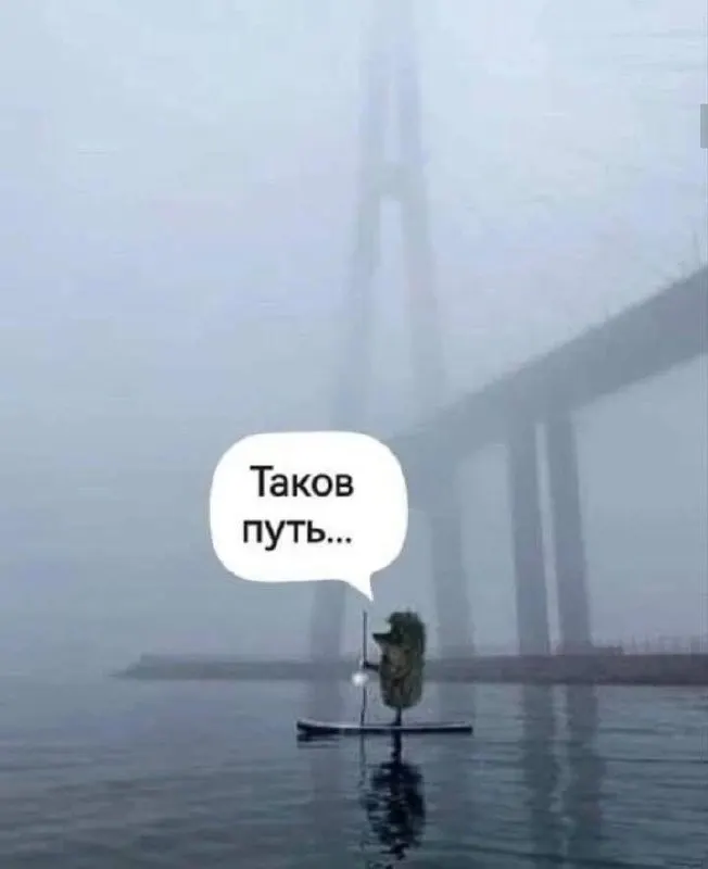 В Приморском крае объявлено штормовое предупреждение: к вечеру ожидаются усиленные дожди, локальные ливни и грозы, порывы ветра до 15–18 м/с; сохраняется риск переувлажнения почвы в отдельных районах.