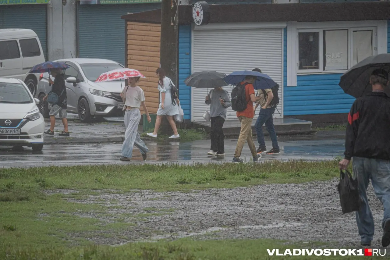 Сильные осадки обрушились на Владивосток: вода заполнила дворы и дороги,部分 школ переведены на дистанционный формат обучения. В регионе ведутся онлайн-обновления об обстановке.