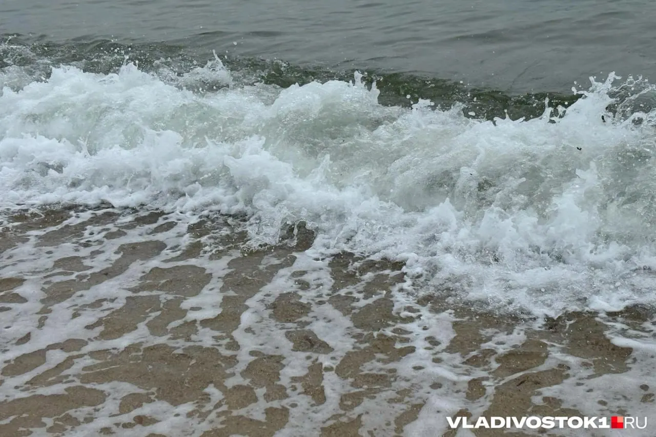 За сезон на воде в регионе зарегистрировано 82 происшествия; основные причины — купание в состоянии алкогольного опьянения и оставление детей без присмотра.