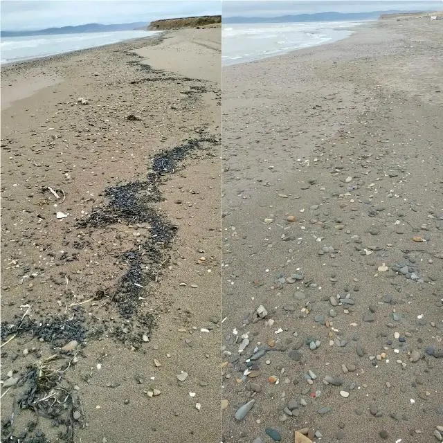 На Сахалине и в акватории Каспийского моря зафиксировано загрязнение нефтепродуктами; специалисты проводят анализы и мониторинг, оценивая масштабы и источники загрязнения.