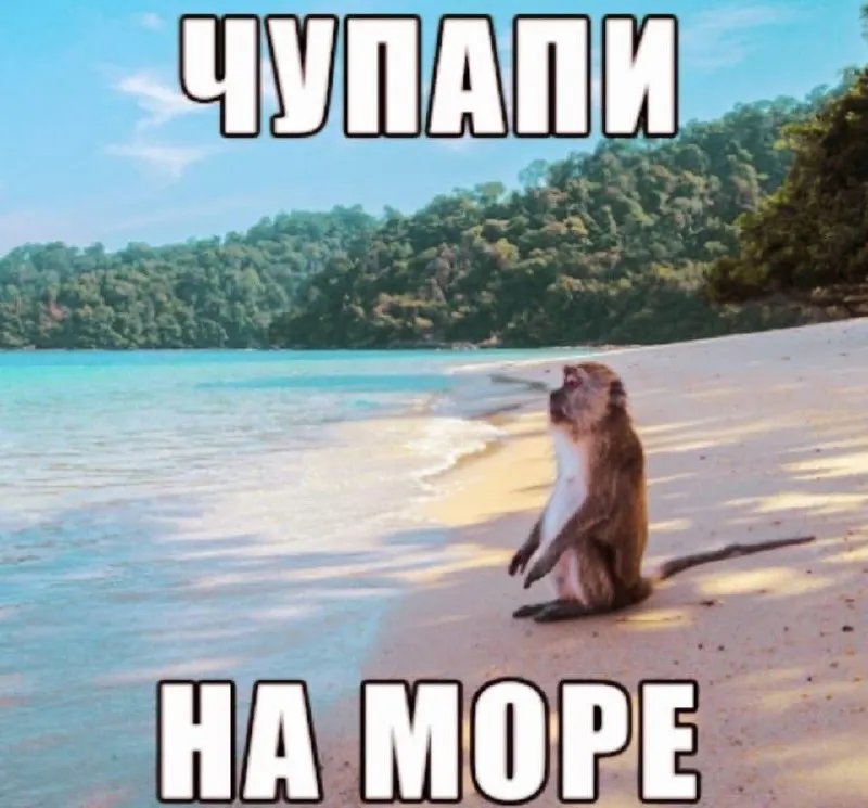 Из Читы запускают прямой рейс на Хайнань (Чита — Санья) раз в неделю; после запуска доступны рейсы на Пхукет, приведены расписание и цены.