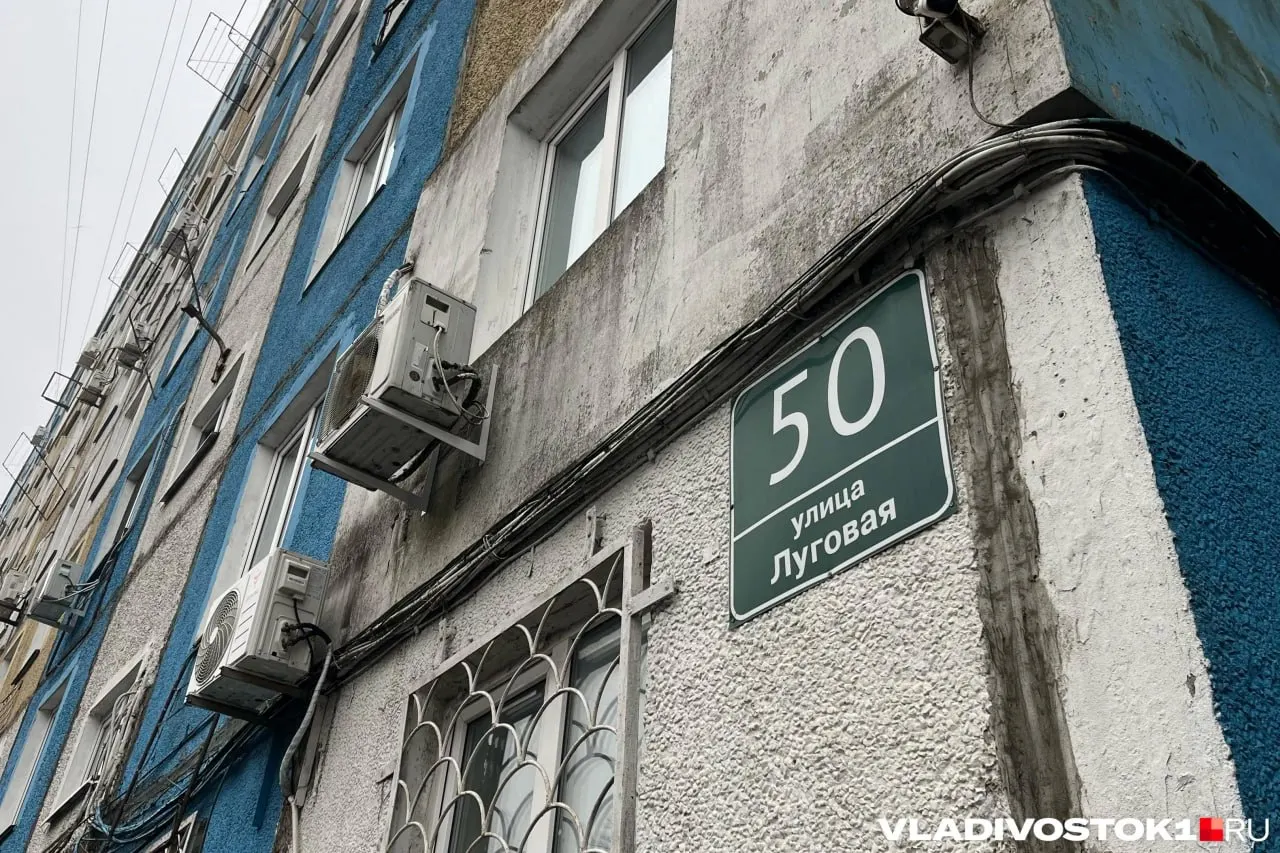 Власти региона объявили 13 закупок на капитальный ремонт жилых домов в нескольких округах Приморского края. Общий бюджет — 866 710 484 рублей.