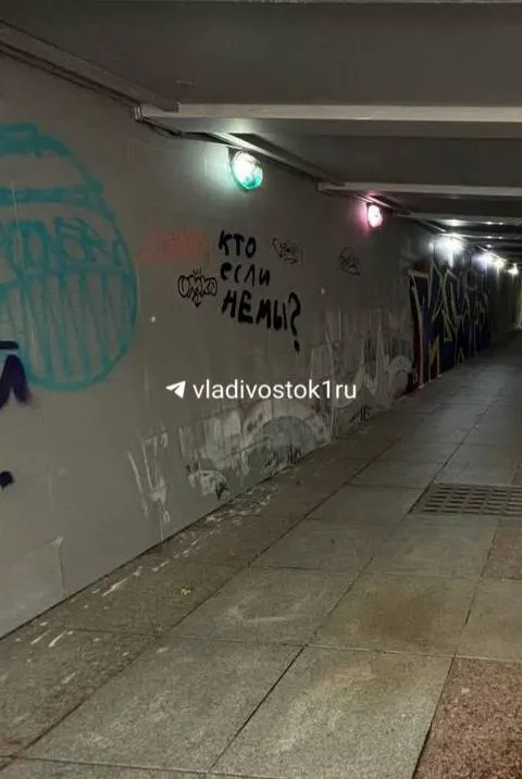 Подземный переход у Покровского парка снова стал объектом граффити после повторного акта вандализма.