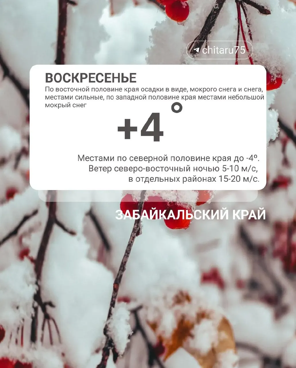 Снег в Чите и осадки по Забайкальскому краю, морозы достигают -15°C.